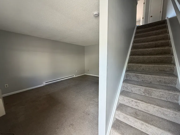 41 Dunbar St #2A — Photo 7