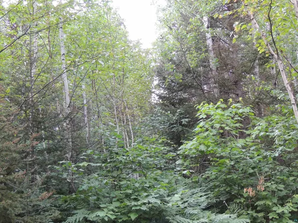 X3 Cougar Tr, Grand Marais, MN 55604