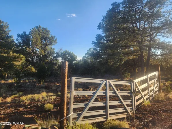 26 County Road 3323, Vernon, AZ 85940