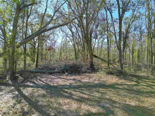 Vacant Sw Hiawatha Trl, Lee, FL 32059