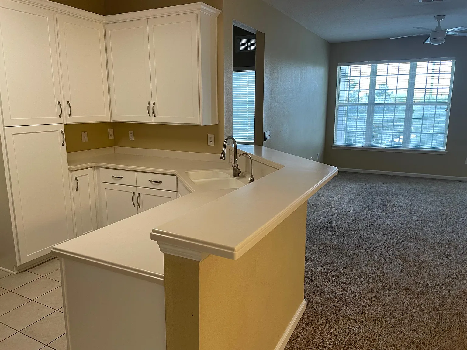 11251 Campfield Dr — Photo 3