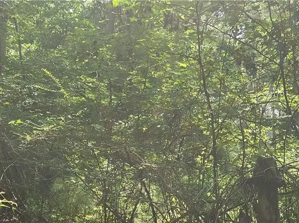 29 Azalea Loop, Pittsview, AL 36871