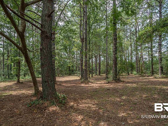 3rd image of 23439 Patterson Rd