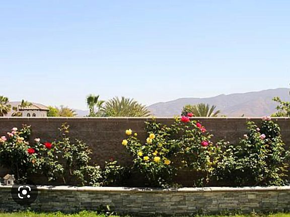 View of mountains out back