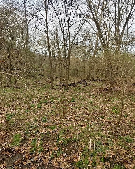 2nd image of Kings Creek Rd