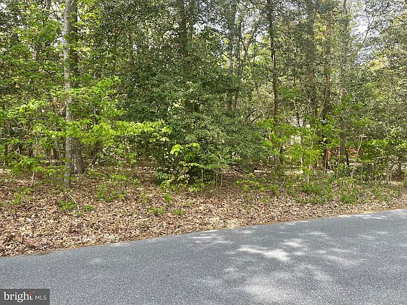4th image of LOT 42 Holly Oak Ln