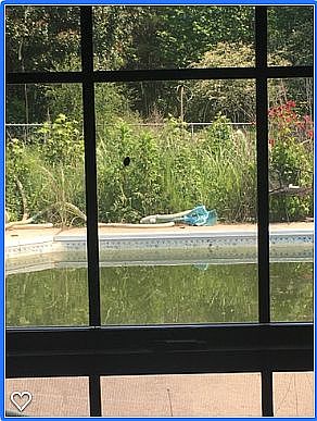 5th image of 235 Dupree Dr