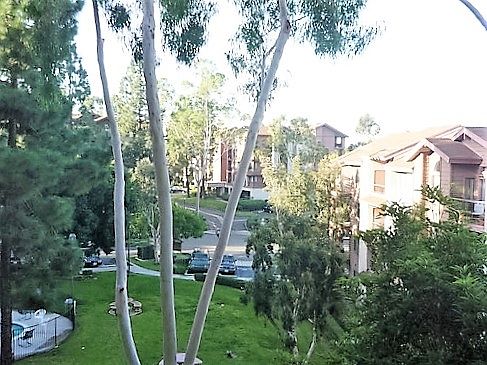 5th image of 5990 Dandridge Ln Unit 185