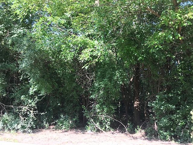 2nd image of 45 W Surrey Ln