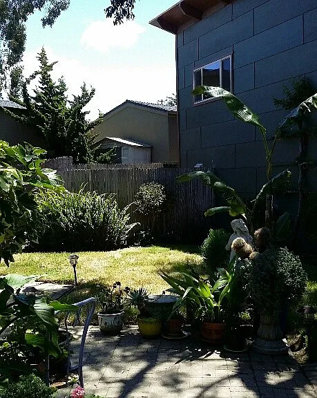 481 Hillview St — Photo 16