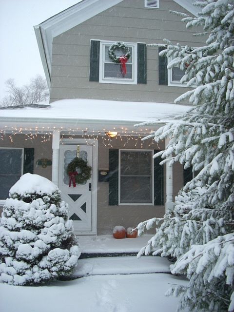Winter Wonderland