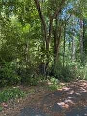 2nd image of 0 Windsor Way