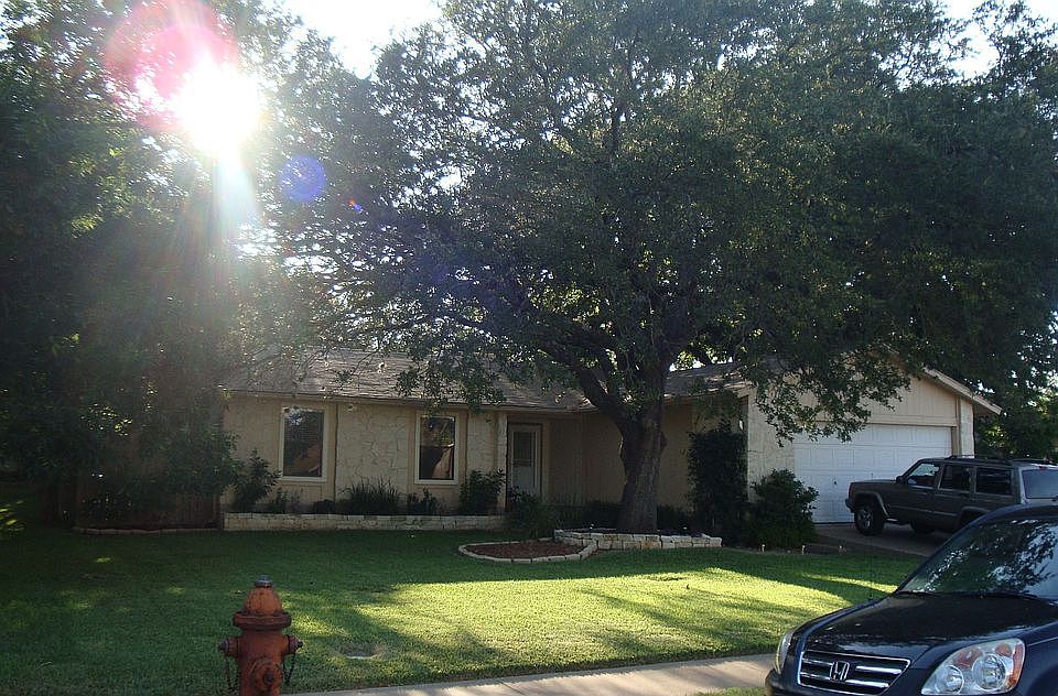 Oak tree in Front Yard