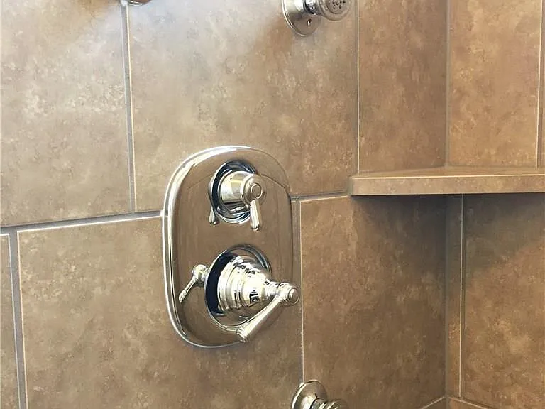 Primary Bathroom Shower