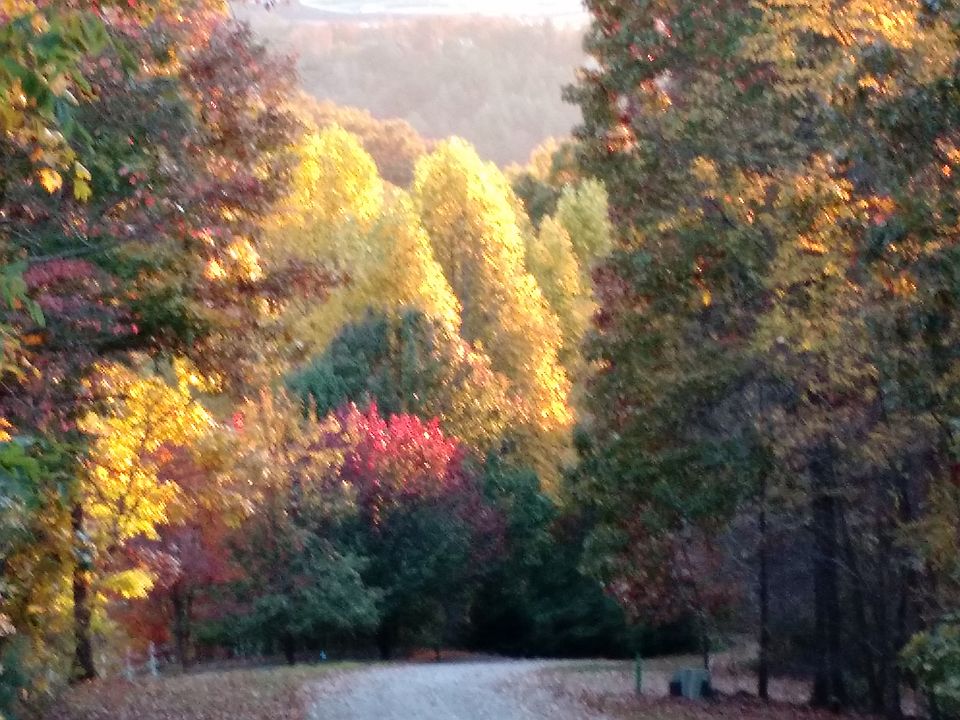 1st image of Byron St