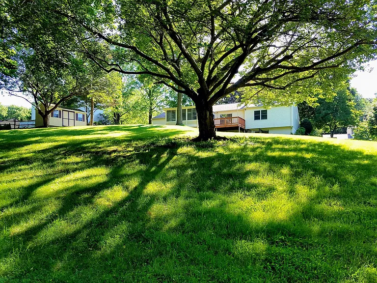 1513 Gingerwood Ct — Photo 1