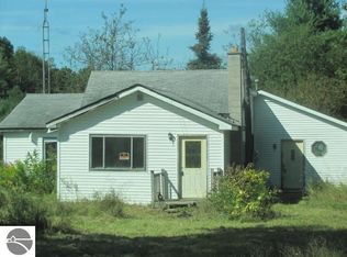 9571 N 39 1/2 Rd, Manton, MI 49663