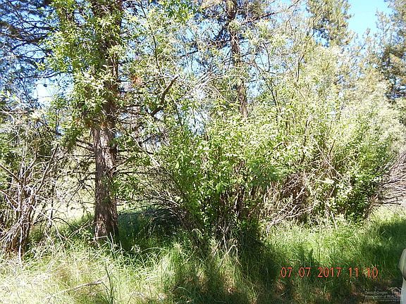 4th image of 16 Cascade Dr