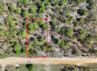 206 Himalayan St #20, Interlachen, FL 32148