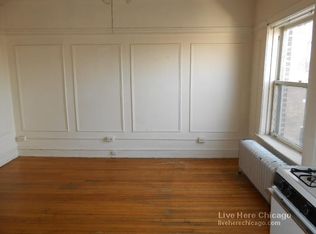 602 W Arlington Pl BSMT G, Chicago, IL 60614