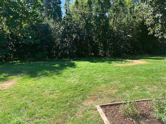 Yard and Garden area!
