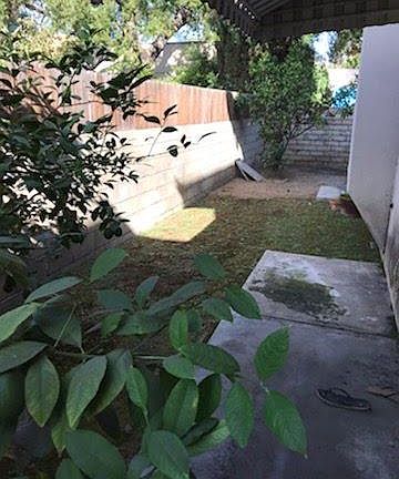 4th image of 53 E Colorado Blvd Unit 6