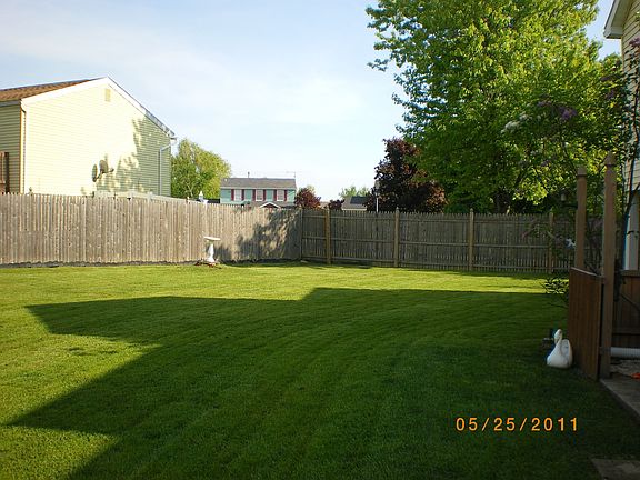 Part of Back Yard
