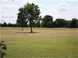 2nd image of 8221 County Road 204