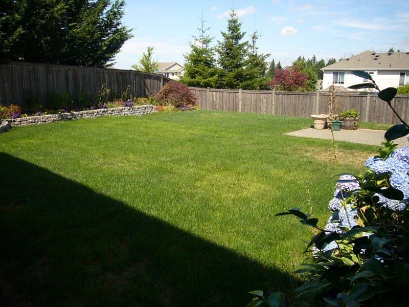 Great back yard