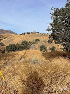 23029 Tulip St #21, Tehachapi, CA, 93561
