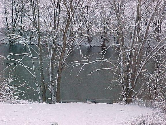 Tranquil winter scene