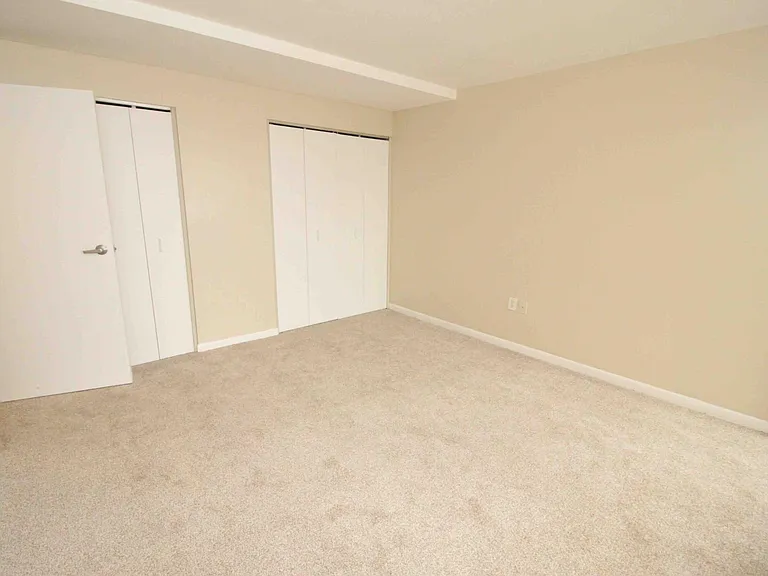 1001 W Jefferson Ave #300/29D — Photo 11