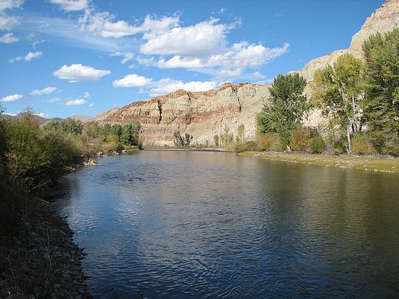 The Bluff from Property 