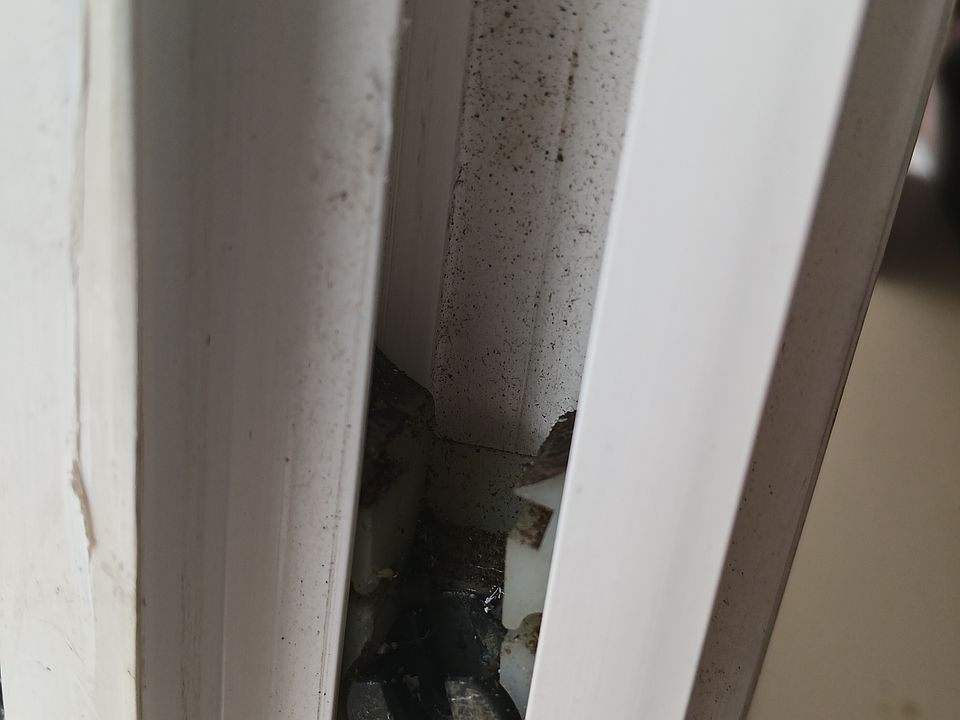 1st image of 48 Seeley Ave Floor 2