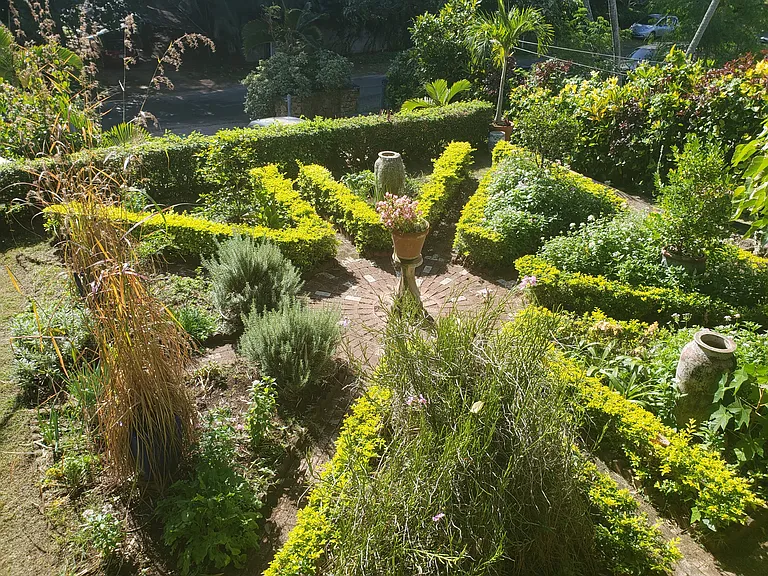 Terrace Garden