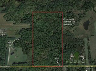 11723 E Lake Montcalm Rd, Riverdale, MI 48877