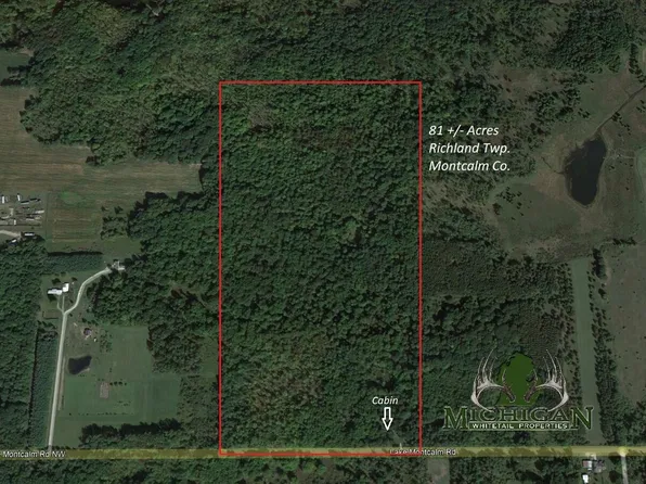 11723 E Lake Montcalm Rd, Riverdale, MI 48877