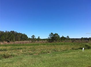 455 Long And Winding Rd, Howey In The Hills, FL 34737