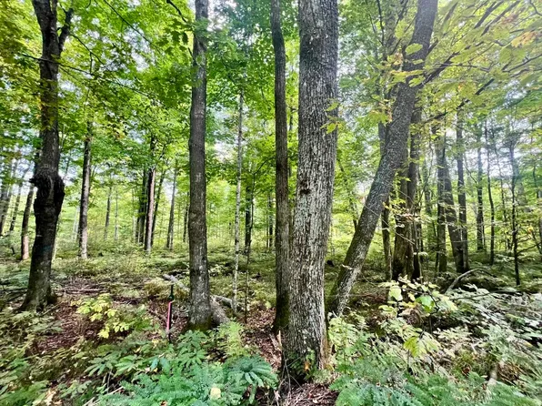 N13026 Limberg Ln #5, Athelstane, WI 54104