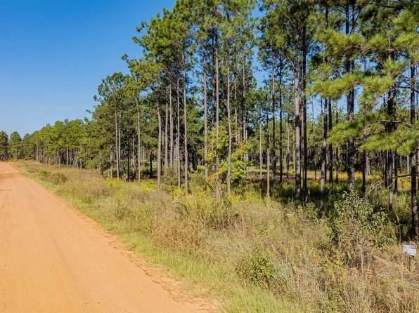 Waldrons Ferry Rd #5, Hallsville, TX 75650