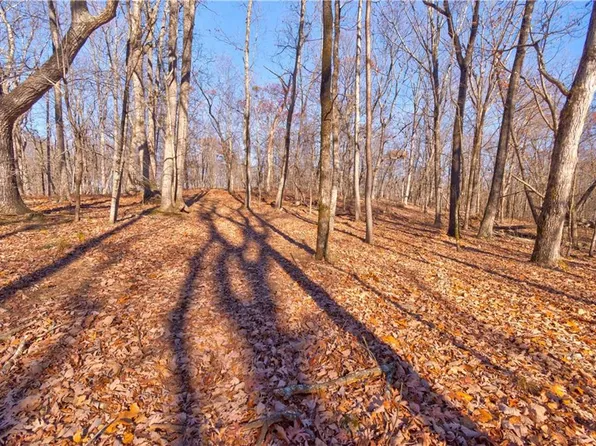 6.4 Mincey Acres Dr #4A, Murrayville, GA 30564