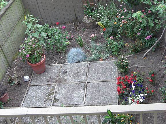 Large Deck and Fully fenced backyard/garden