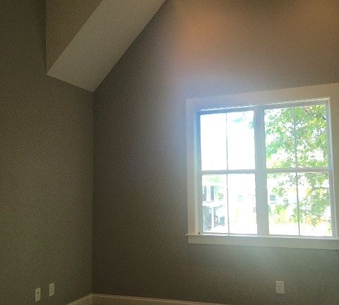 Master Bedroom with vaulted ceiling