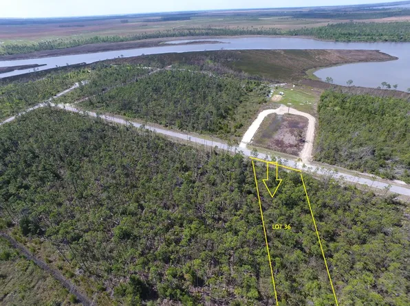 LOT 36 E Bay Dr, Wewahitchka, FL 32465