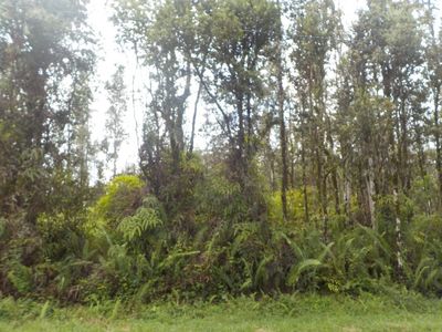 Paradise Rd Lot 84, Pahoa, HI, 96778