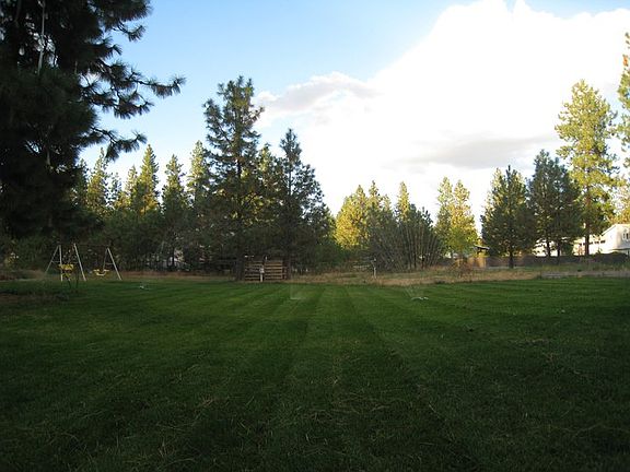 Back Yard Summertime