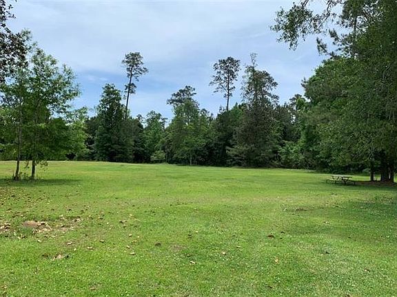 5th image of Bamboo Ln