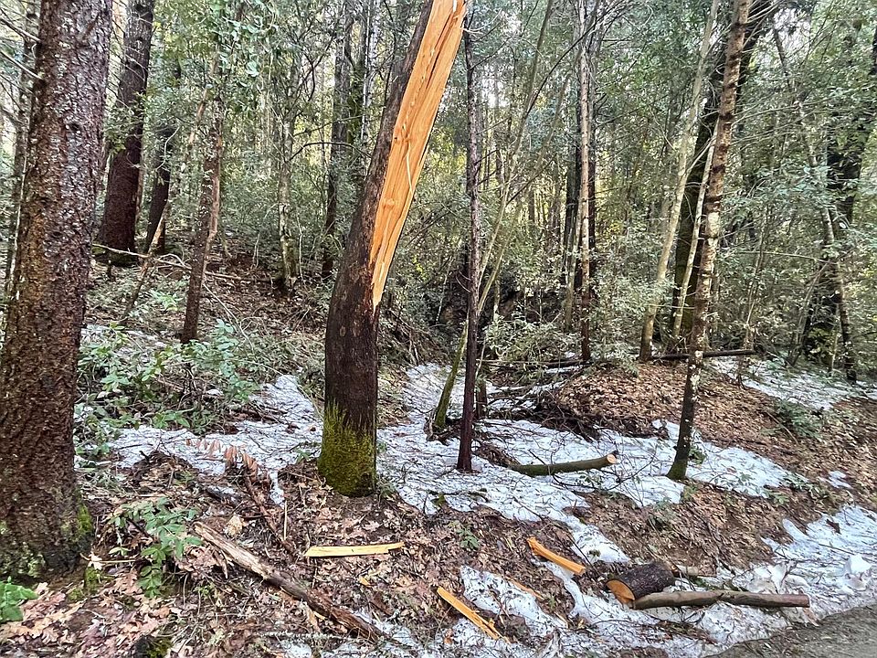 0 New York Flat Rd, Forbestown, CA 95941 MLS 223027126 Zillow