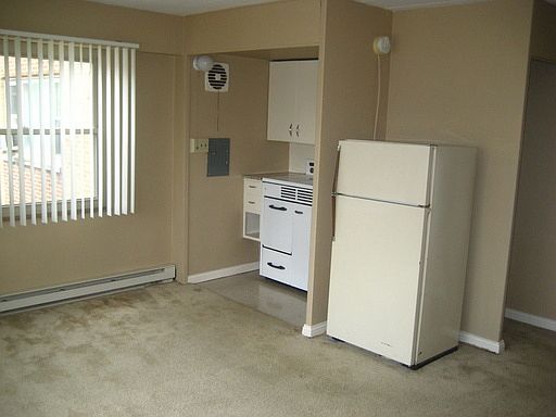4th image of 530 W Berry St APT 309