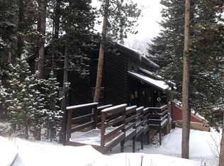 866 Silver Creek Rd, Idaho Springs, CO 80452